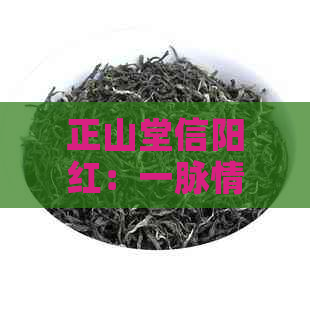 正山堂信阳红：一脉情深，传承千年古茶文化。