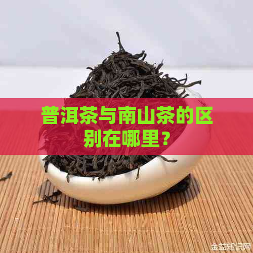 普洱茶与南山茶的区别在哪里？