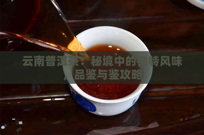 云南普洱茶：秘境中的独特风味，品鉴与鉴攻略