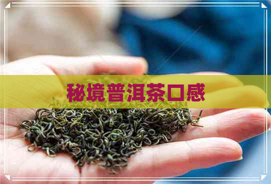 秘境普洱茶口感