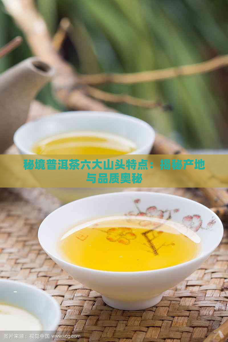 秘境普洱茶六大山头特点：揭秘产地与品质奥秘