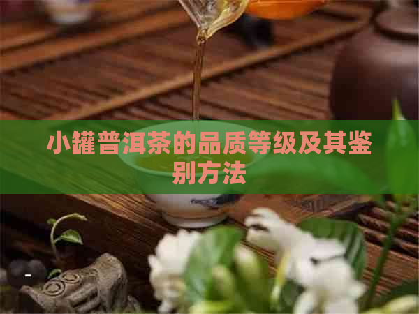 小罐普洱茶的品质等级及其鉴别方法