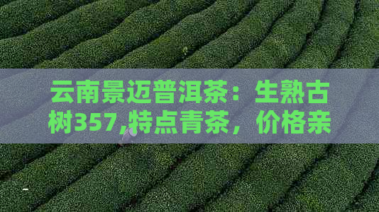 云南景迈普洱茶：生熟古树357,特点青茶，价格亲民。