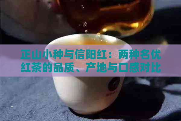 正山小种与信阳红：两种名优红茶的品质、产地与口感对比解析