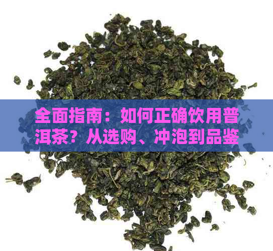 全面指南：如何正确饮用普洱茶？从选购、冲泡到品鉴，一应俱全！