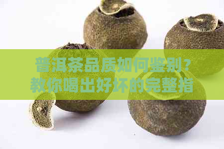 普洱茶品质如何鉴别？教你喝出好坏的完整指南