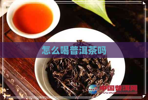 怎么喝普洱茶吗