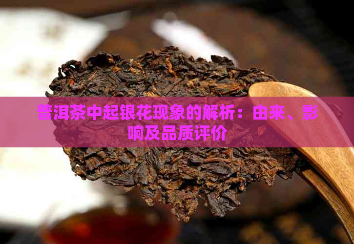 普洱茶中起银花现象的解析：由来、影响及品质评价