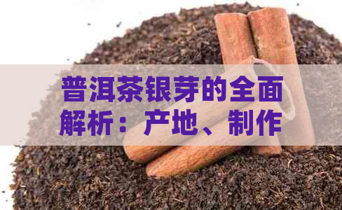 普洱茶银芽的全面解析：产地、制作工艺、功效及品饮方法