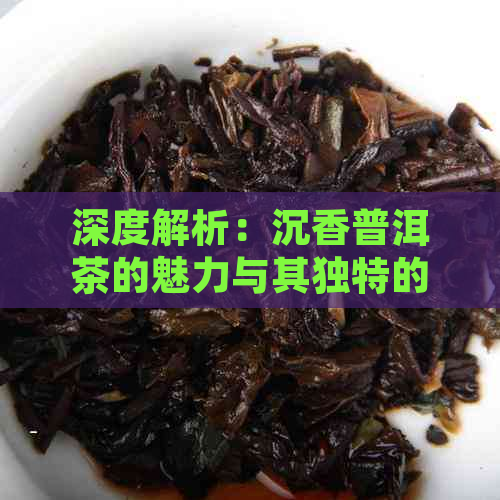 深度解析：沉香普洱茶的魅力与其独特的制作工艺