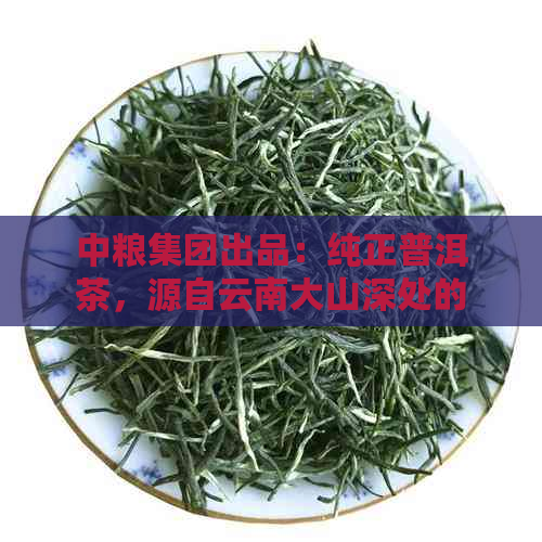 中粮集团出品：纯正普洱茶，源自云南大山深处的独特风韵