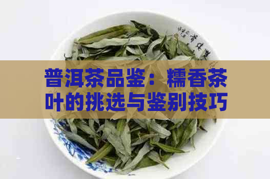 普洱茶品鉴：糯香茶叶的挑选与鉴别技巧