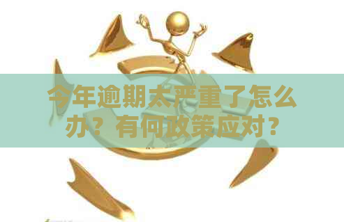 今年逾期太严重了怎么办？有何政策应对？