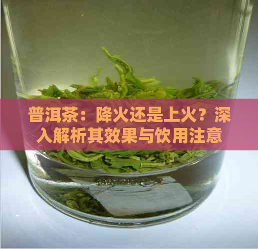 普洱茶：降火还是上火？深入解析其效果与饮用注意事项