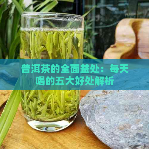 普洱茶的全面益处：每天喝的五大好处解析