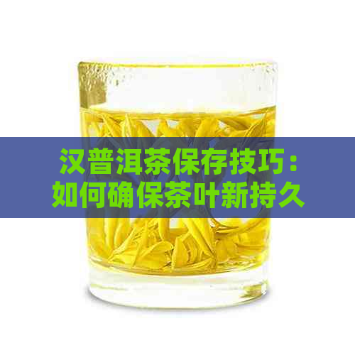 汉普洱茶保存技巧：如何确保茶叶新持久