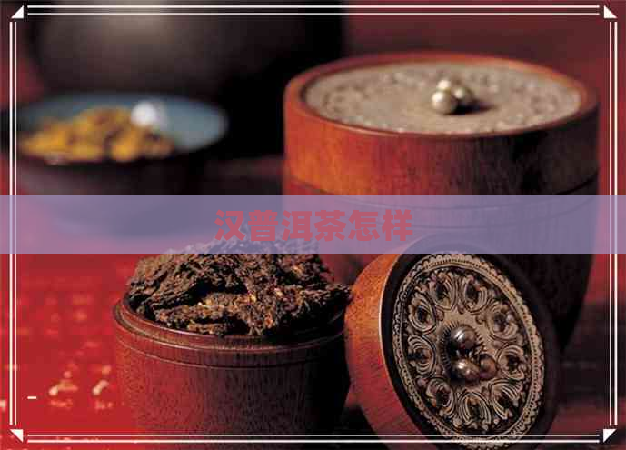 汉普洱茶怎样