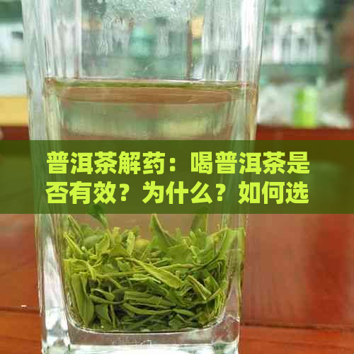 普洱茶解药：喝普洱茶是否有效？为什么？如何选择适合自己的普洱茶？