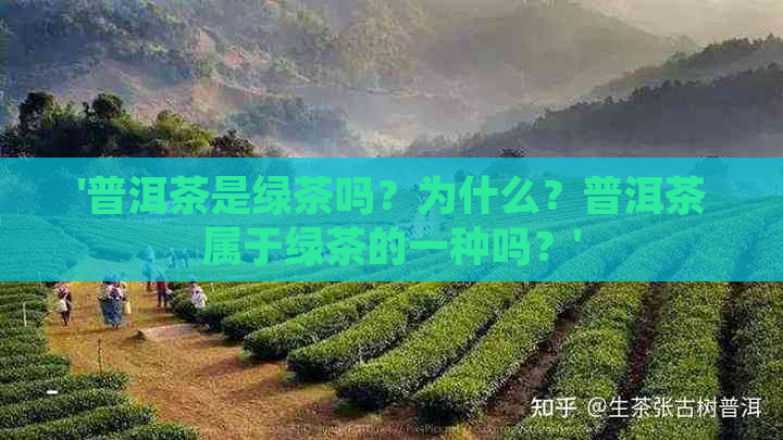 '普洱茶是绿茶吗？为什么？普洱茶属于绿茶的一种吗？'