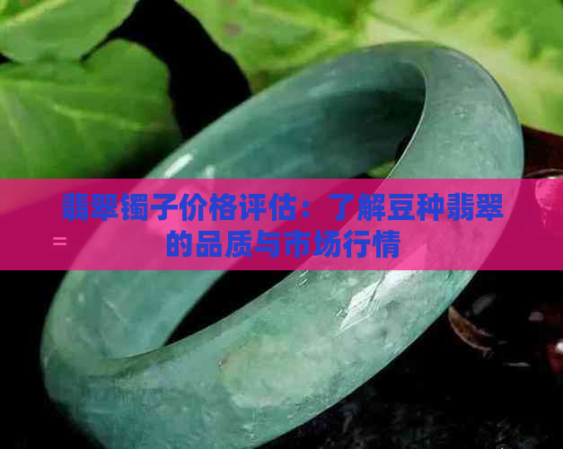 翡翠镯子价格评估：了解豆种翡翠的品质与市场行情