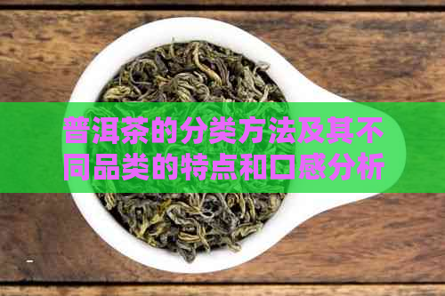 普洱茶的分类方法及其不同品类的特点和口感分析