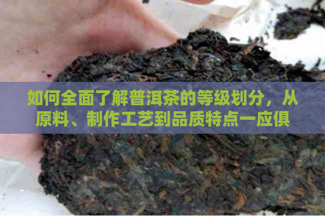 如何全面了解普洱茶的等级划分，从原料、制作工艺到品质特点一应俱全