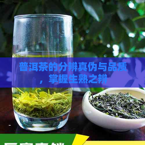 普洱茶的分辨真伪与品质，掌握生熟之辨