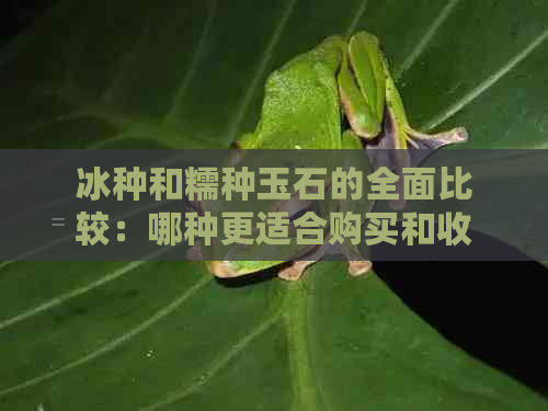 冰种和糯种玉石的全面比较：哪种更适合购买和收藏？