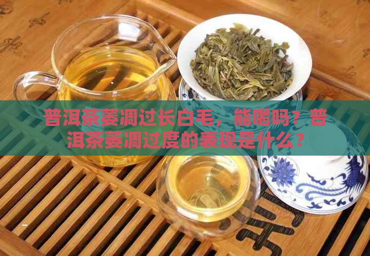 普洱茶萎凋过长白毛，能喝吗？普洱茶萎凋过度的表现是什么？