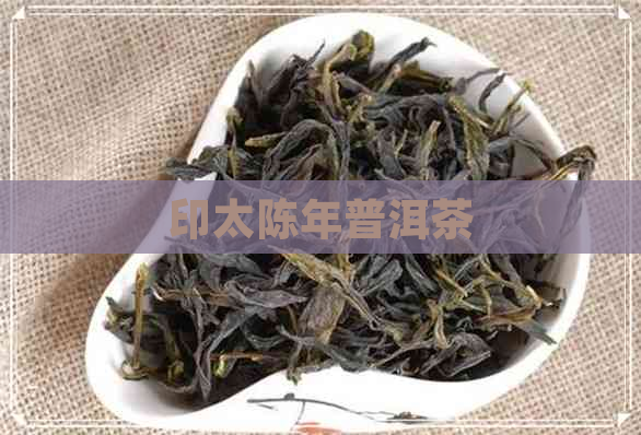 印太陈年普洱茶