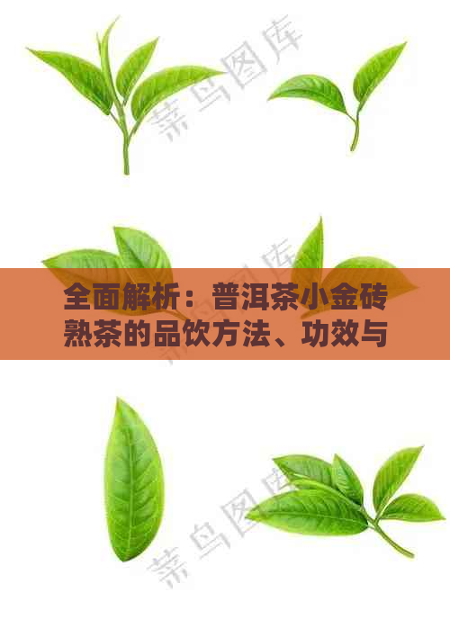 全面解析：普洱茶小金砖熟茶的品饮方法、功效与泡法，让你更好地欣与饮用