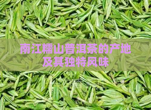 南江糯山普洱茶的产地及其独特风味