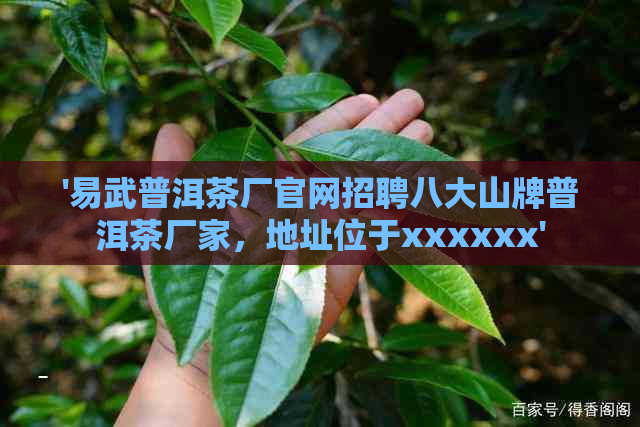 '易武普洱茶厂官网招聘八大山牌普洱茶厂家，地址位于xxxxxx'