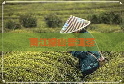 南江糯山普洱茶