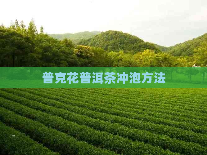 普克花普洱茶冲泡方法