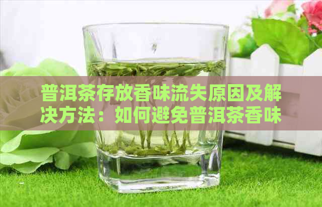 普洱茶存放香味流失原因及解决方法：如何避免普洱茶香味流失？