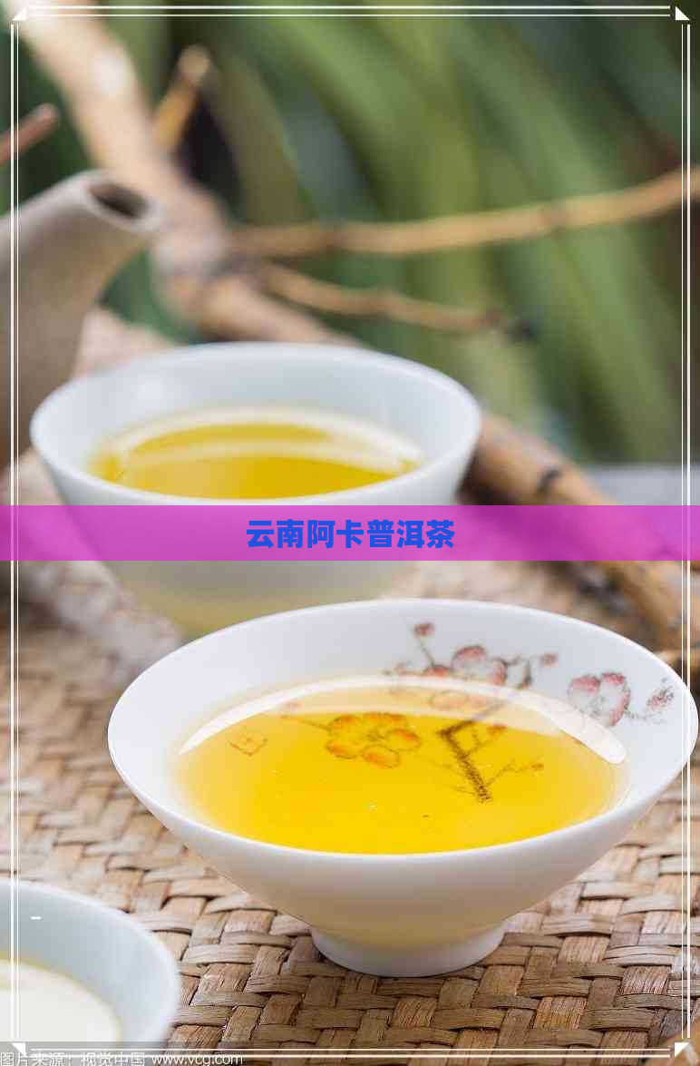 云南阿卡普洱茶