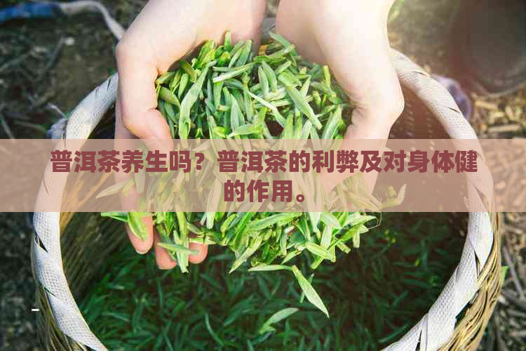 普洱茶养生吗？普洱茶的利弊及对身体健的作用。