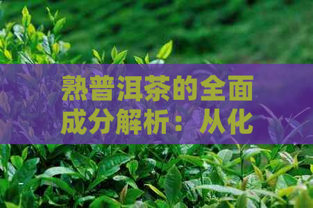 熟普洱茶的全面成分解析：从化学角度了解其独特魅力