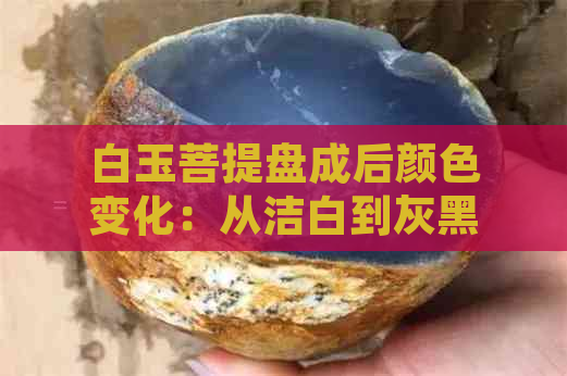 白玉菩提盘成后颜色变化：从洁白到灰黑，出现褐色斑点