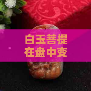 白玉菩提在盘中变化：从初始颜色到最终呈现的颜色探究