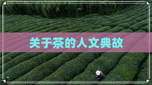 关于茶的人文典故