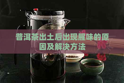 普洱茶出土后出现腥味的原因及解决方法