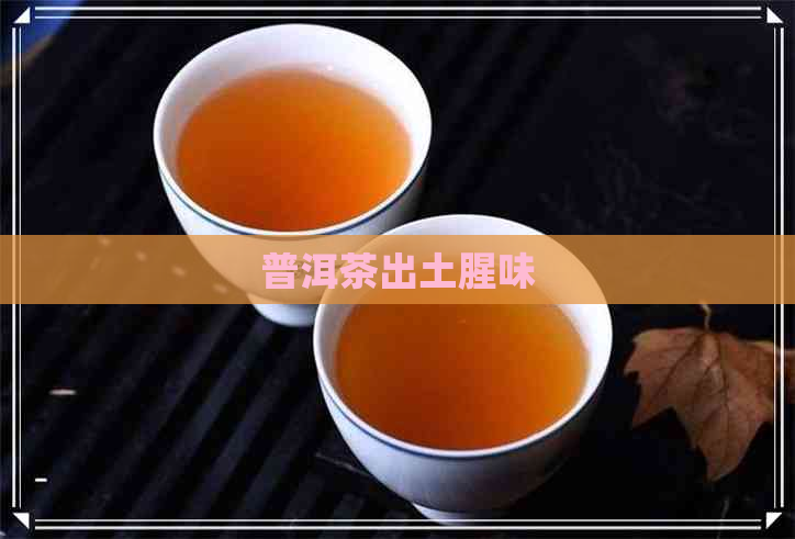 普洱茶出土腥味