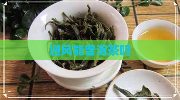 通风能普洱茶吗