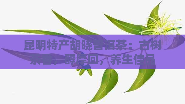 昆明特产胡晓普洱茶：古树茶香，醇厚回，养生佳品