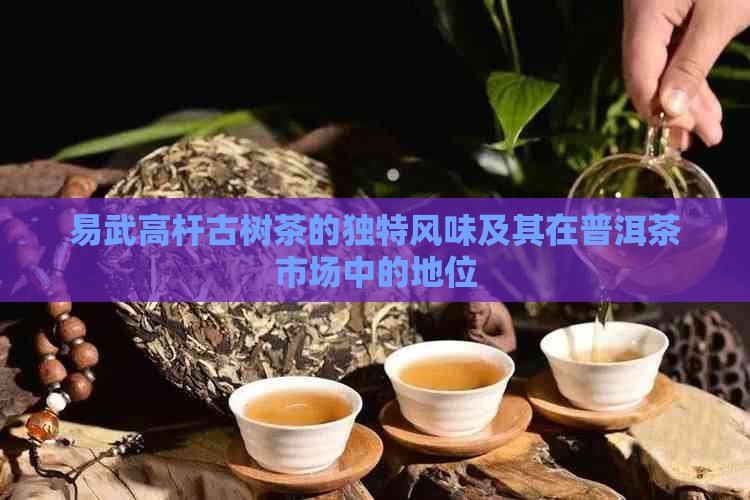 易武高杆古树茶的独特风味及其在普洱茶市场中的地位