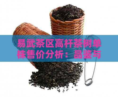 易武茶区高杆茶树单株售价分析：品鉴与投资的深度探讨