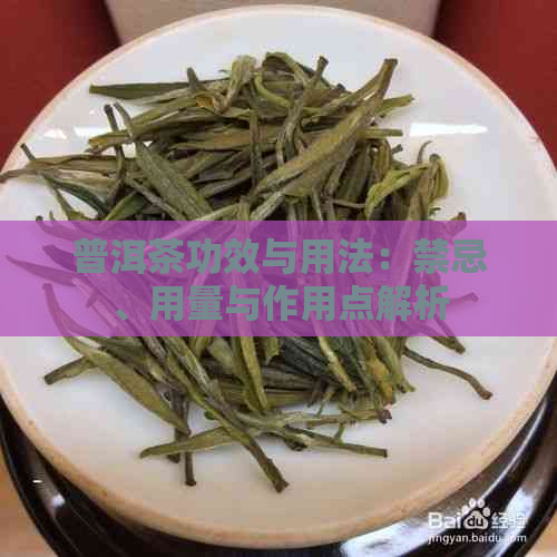 普洱茶功效与用法：禁忌、用量与作用点解析