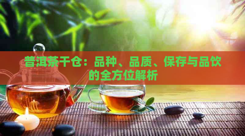 普洱茶干仓：品种、品质、保存与品饮的全方位解析